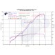 Graphe performances ligne Termignoni Kawasaki ZX10 R 2010-2016 avec dB