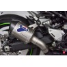 Slip on exhaust Termignoni hexagonal titanium with carbon end cap for Kawasaki Z900 2017-2019