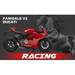 Upmap Termignoni Ducati Panigale V2 2020