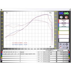 Paire de silencieux carbone Ducati Panigale 899 / 1199 / 1299 2012-2016