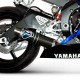 Silencieux Termignoni carbone homologué Yamaha YZF-R6 2006-2016