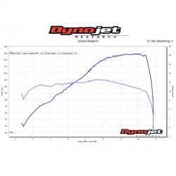 Monster 1200 R 2016-2019 silencieux Termignoni D158 avec db-killer