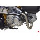 Ligne Termignoni H16509400IIC racing titane-carbone pour Honda Monkey 125 tous modèles 2018 à 2022