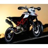 Exhaust line Termignoni carbon for Ducati Hypermotard 796 2010-2013