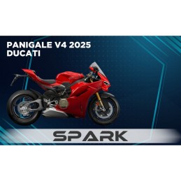 copy of UpMap Cartographie Ducati Panigale V4 2025 - Systèmes d’échappement Akrapovic