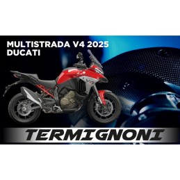 3 cartograhies pour Termignoni : Silencieux D233 avec ou sans decatalyseur D234