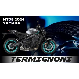Débridage & Optimisation ECU avec ligne Termignoni  homologuée ou racing