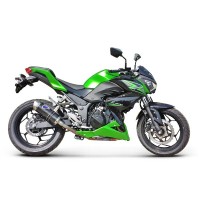 Ninja 300 2013-2016